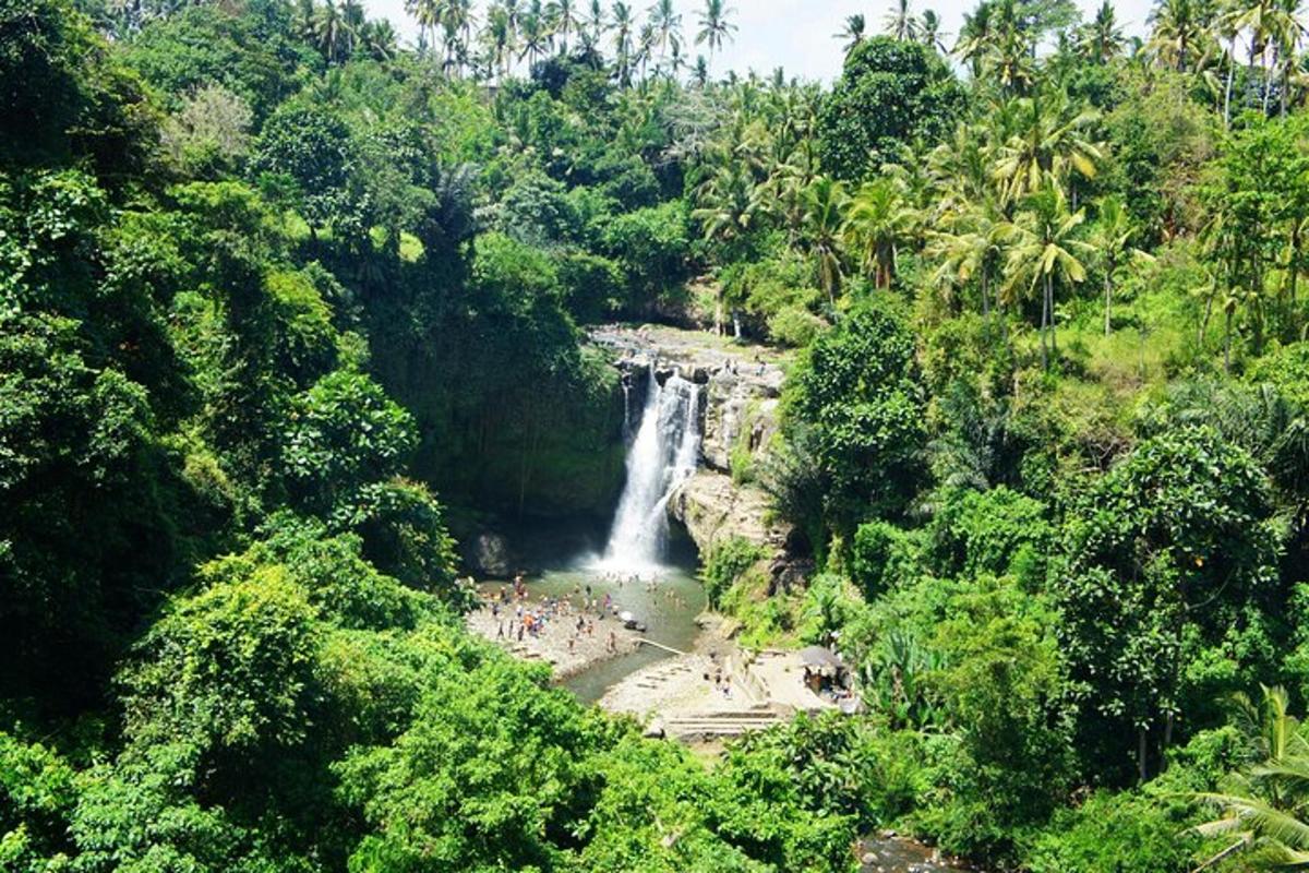 una cascada al mig d'un bosc