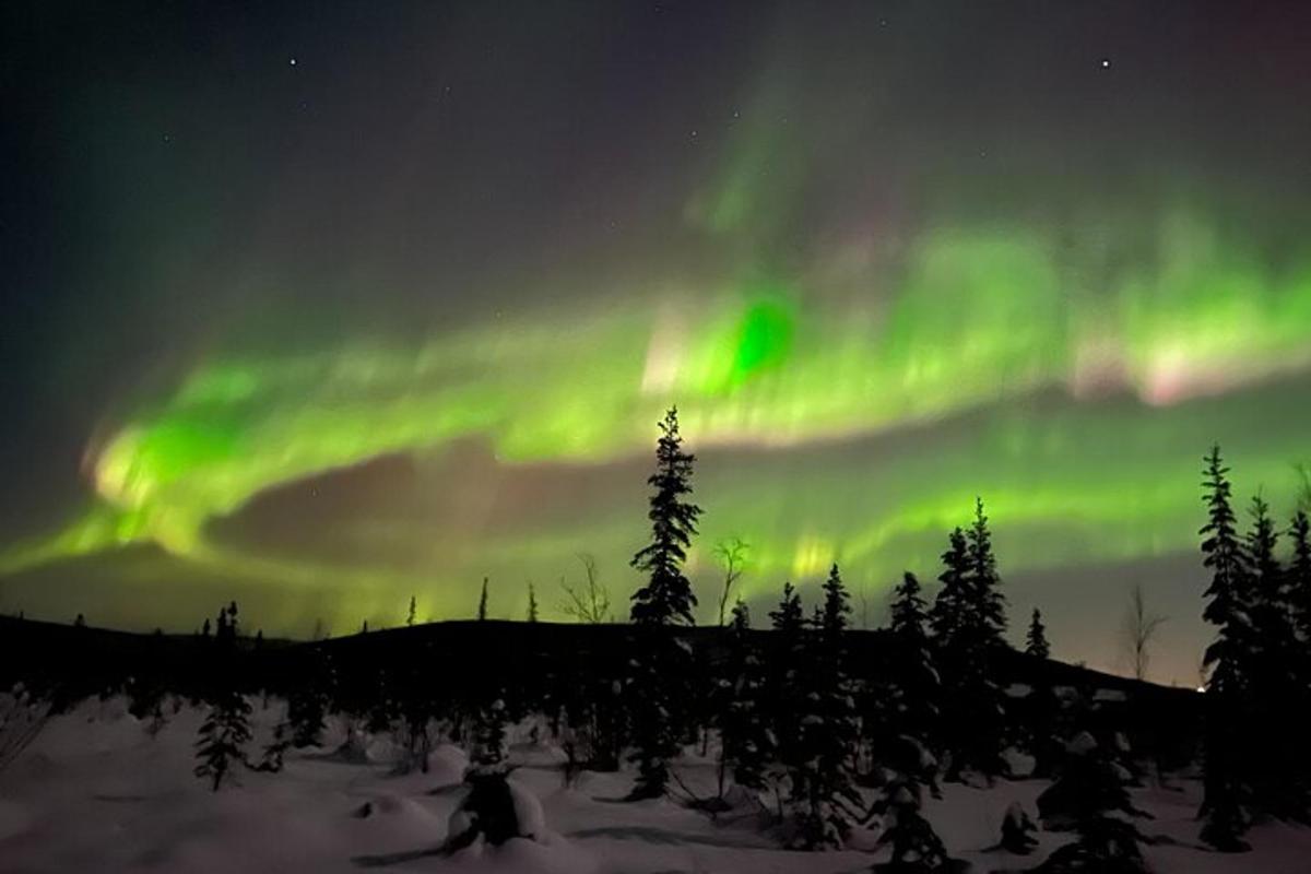 ein Bild der Nordlichter am Himmel