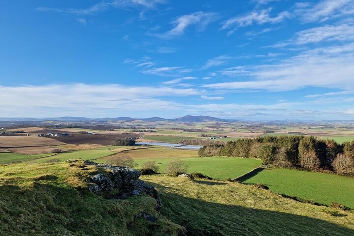 una vista di un campo con alberi e un fiume