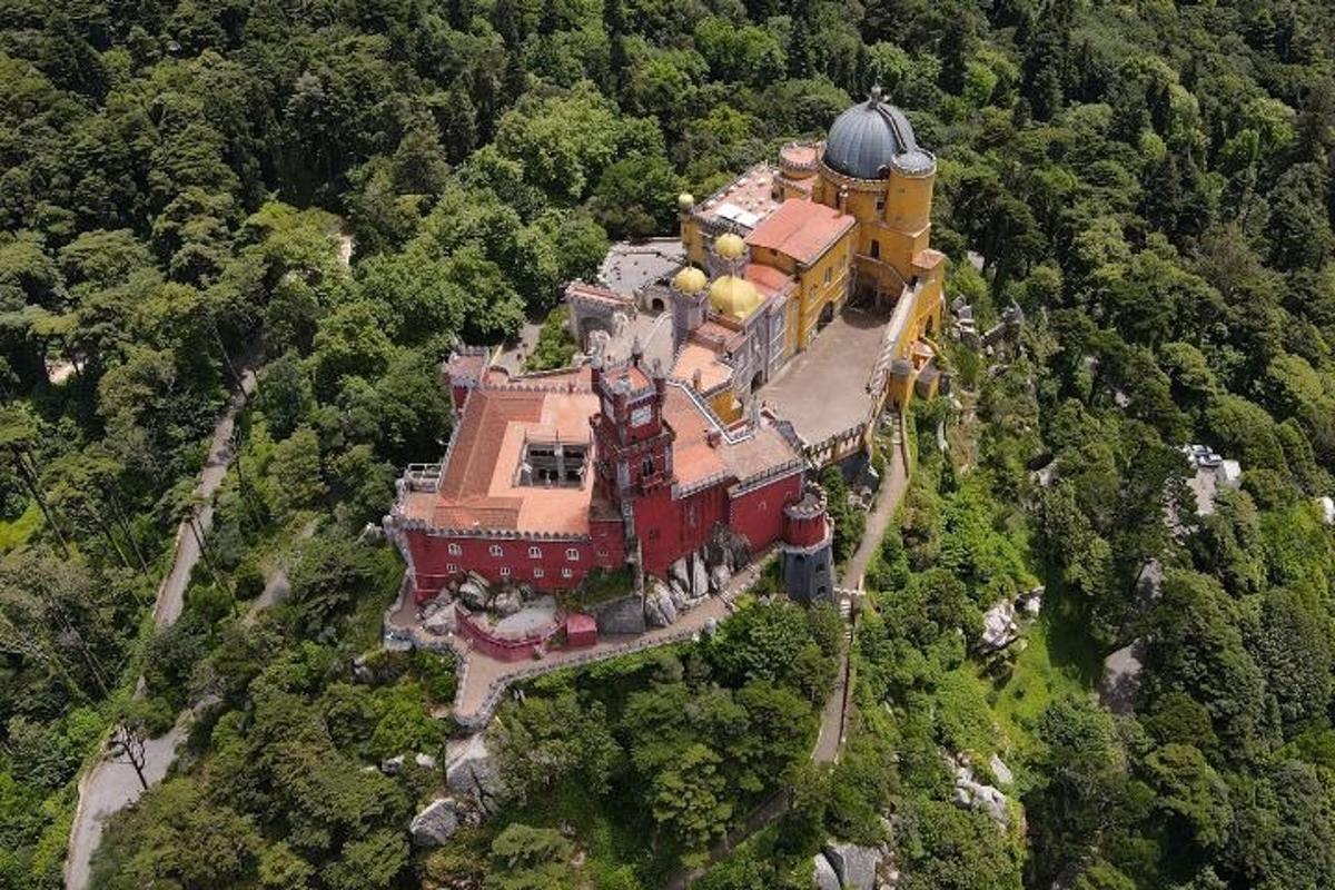 uma casa grande no topo de uma colina na floresta