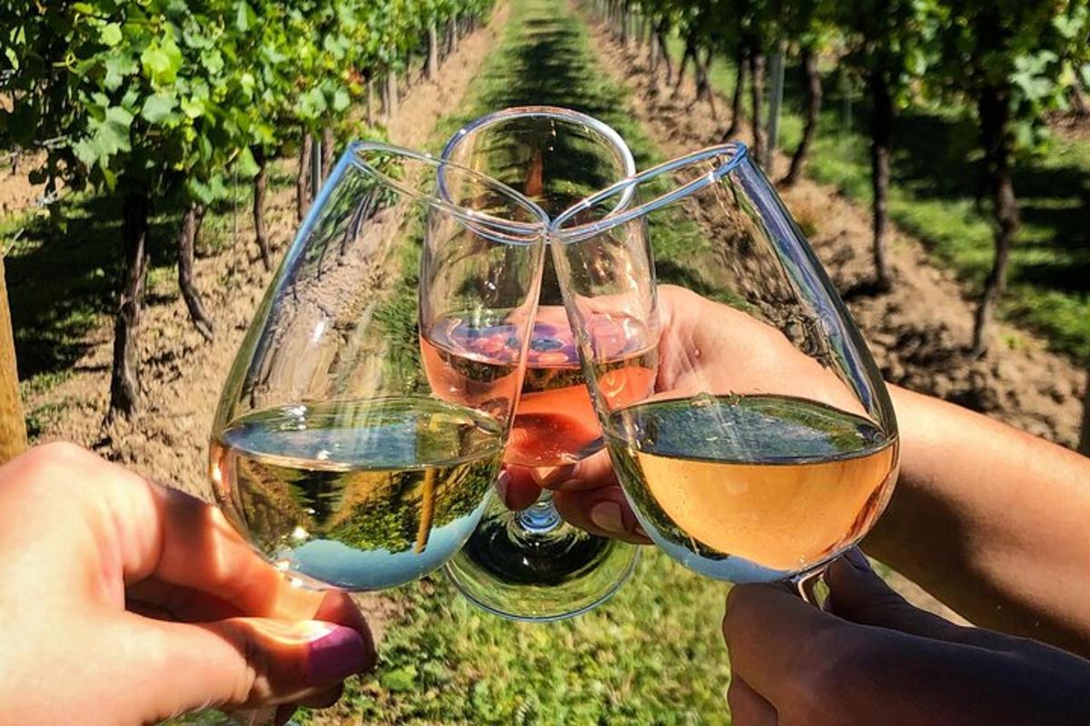 dva lidé držící sklenice na víno před vinicí