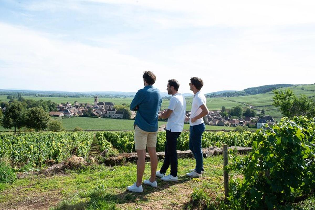 tre uomini in piedi su una collina che guardano un vigneto
