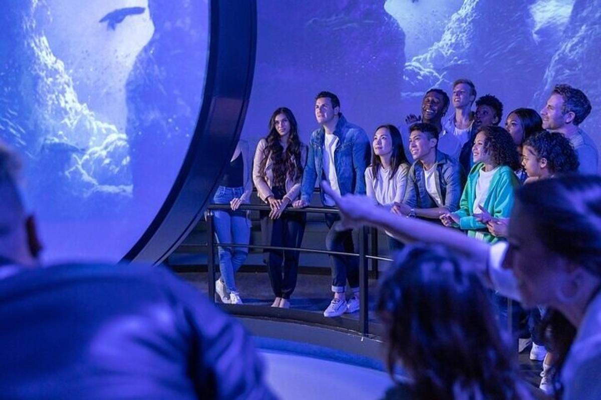 a group of people sitting in front of an aquarium