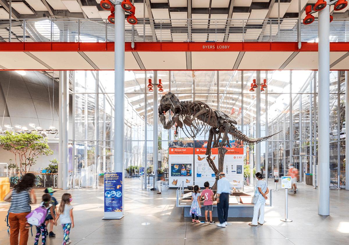 a museum with a dinosaur skeleton hanging from the ceiling