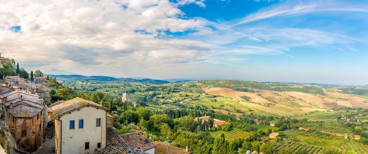 una vista di una città in una valle con alberi