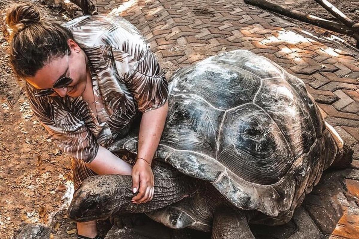 kona situr á baki skjaldböku