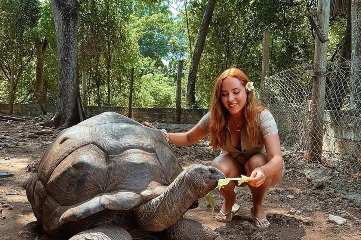 eine Frau füttert eine Schildkröte mit einem Stück Futter