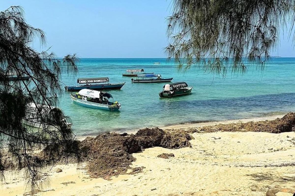 một nhóm thuyền trên mặt nước ở bãi biển