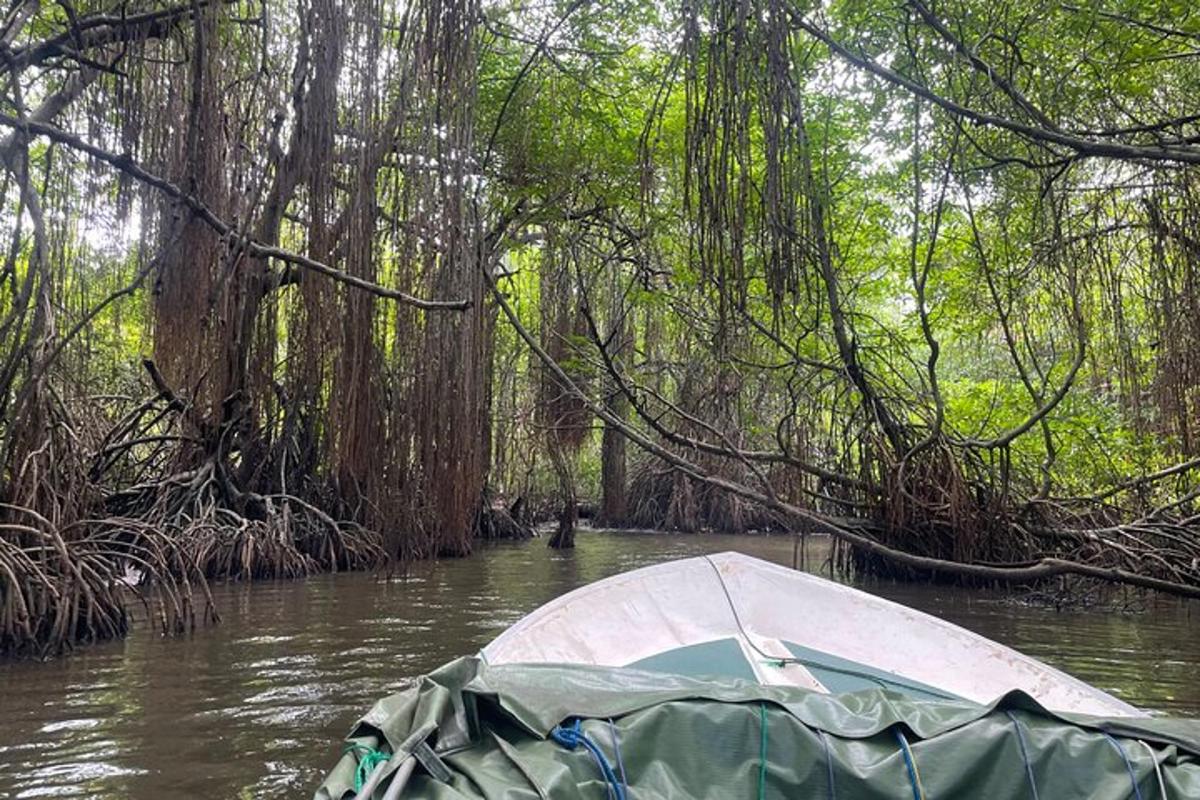bot di tengah sungai dengan pokok
