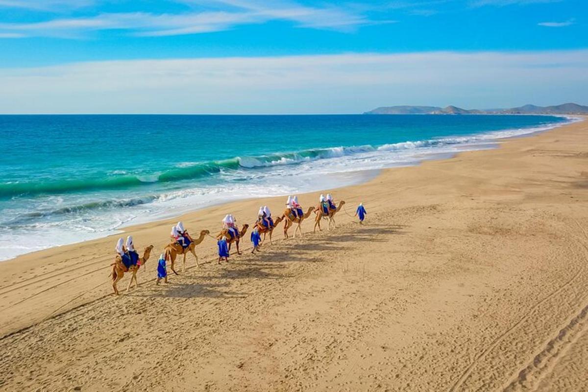 um grupo de pessoas andando a cavalo na praia