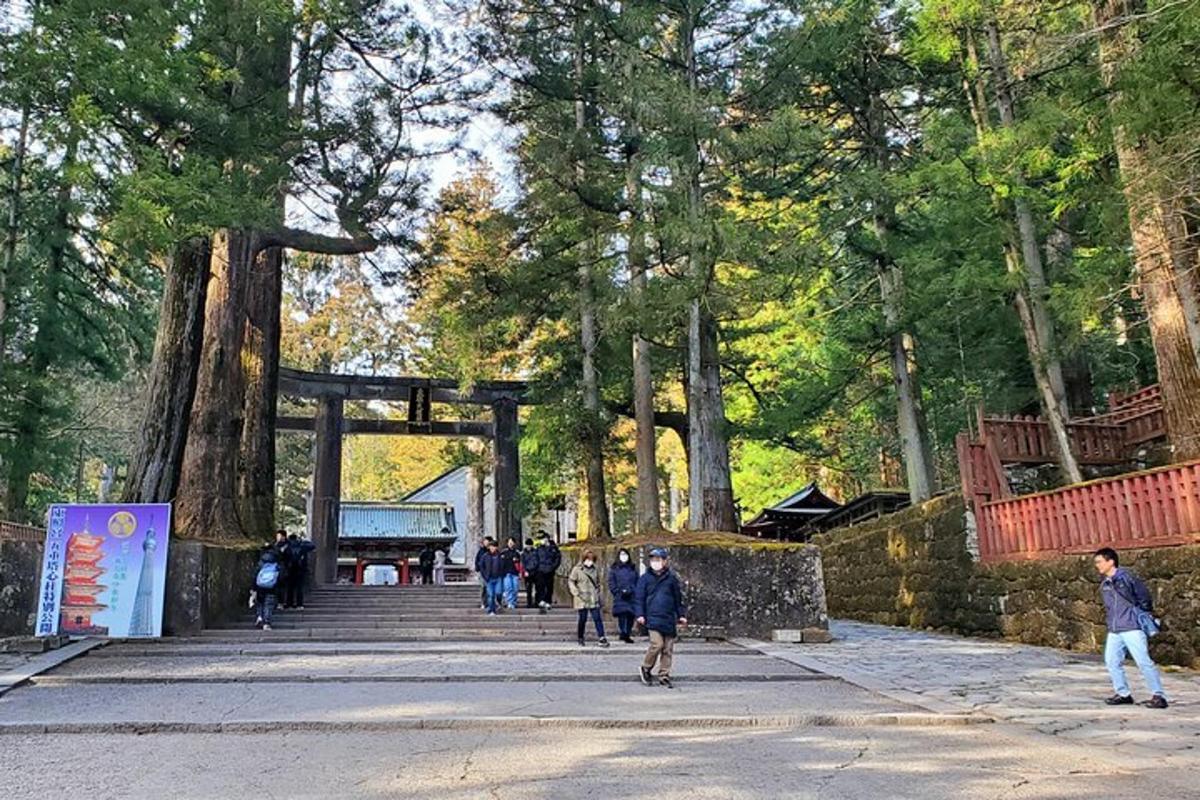 Un grupo de personas caminando por un parque con árboles.