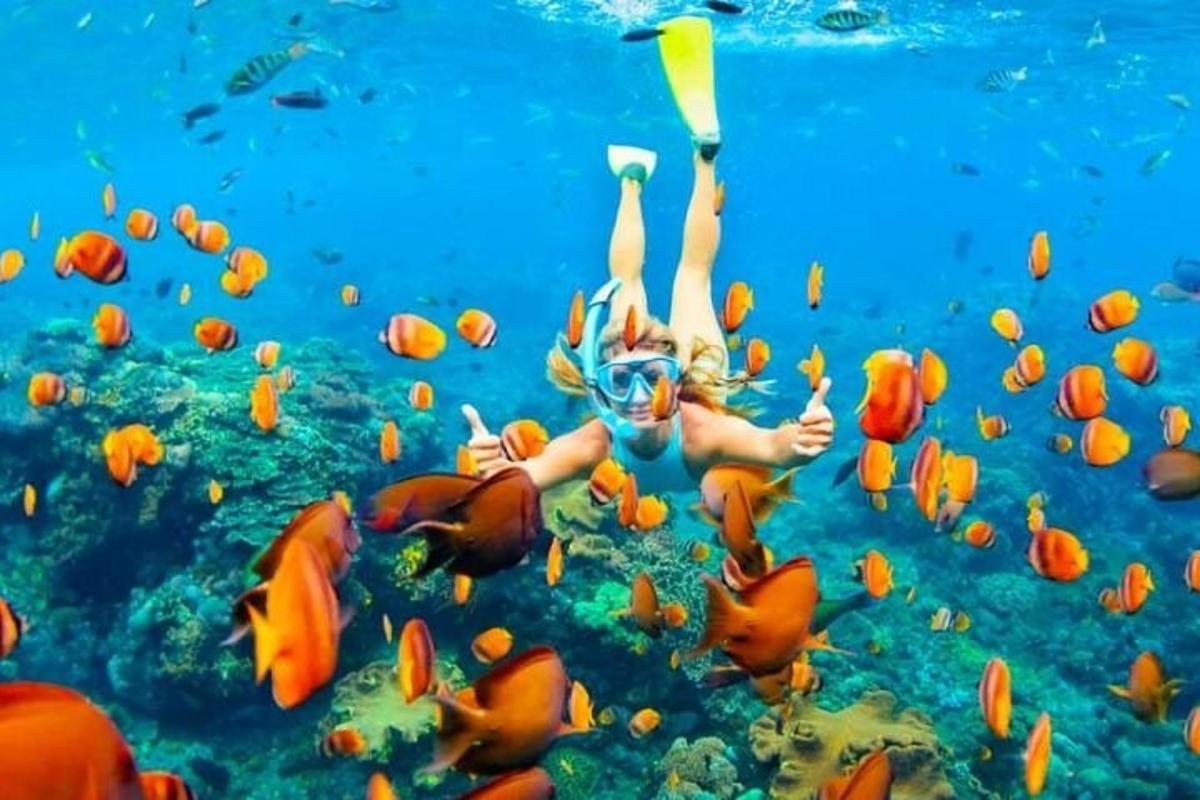 một người phụ nữ đang bơi trong đại dương với một đàn cá