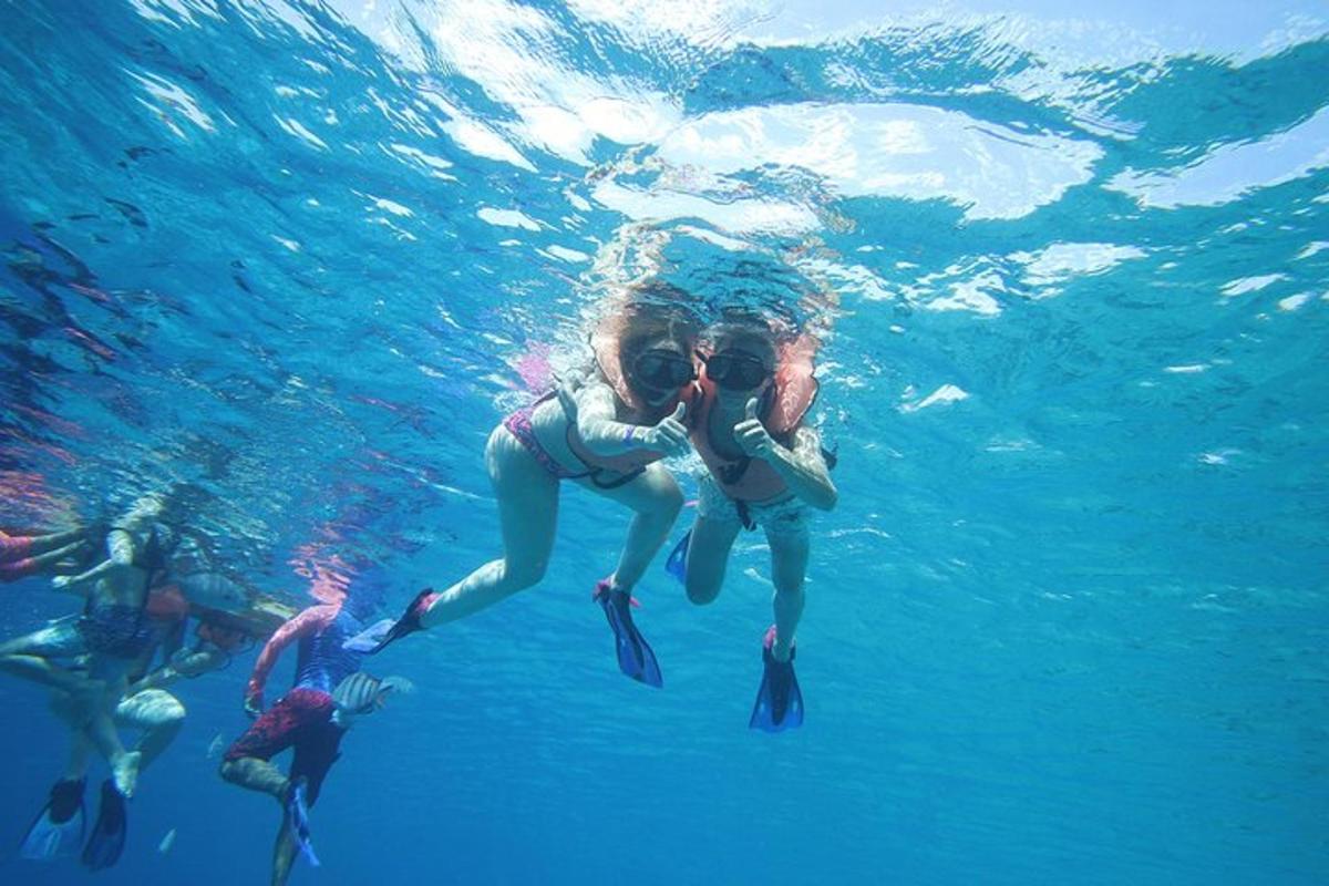 un grupo de personas nadando en el agua