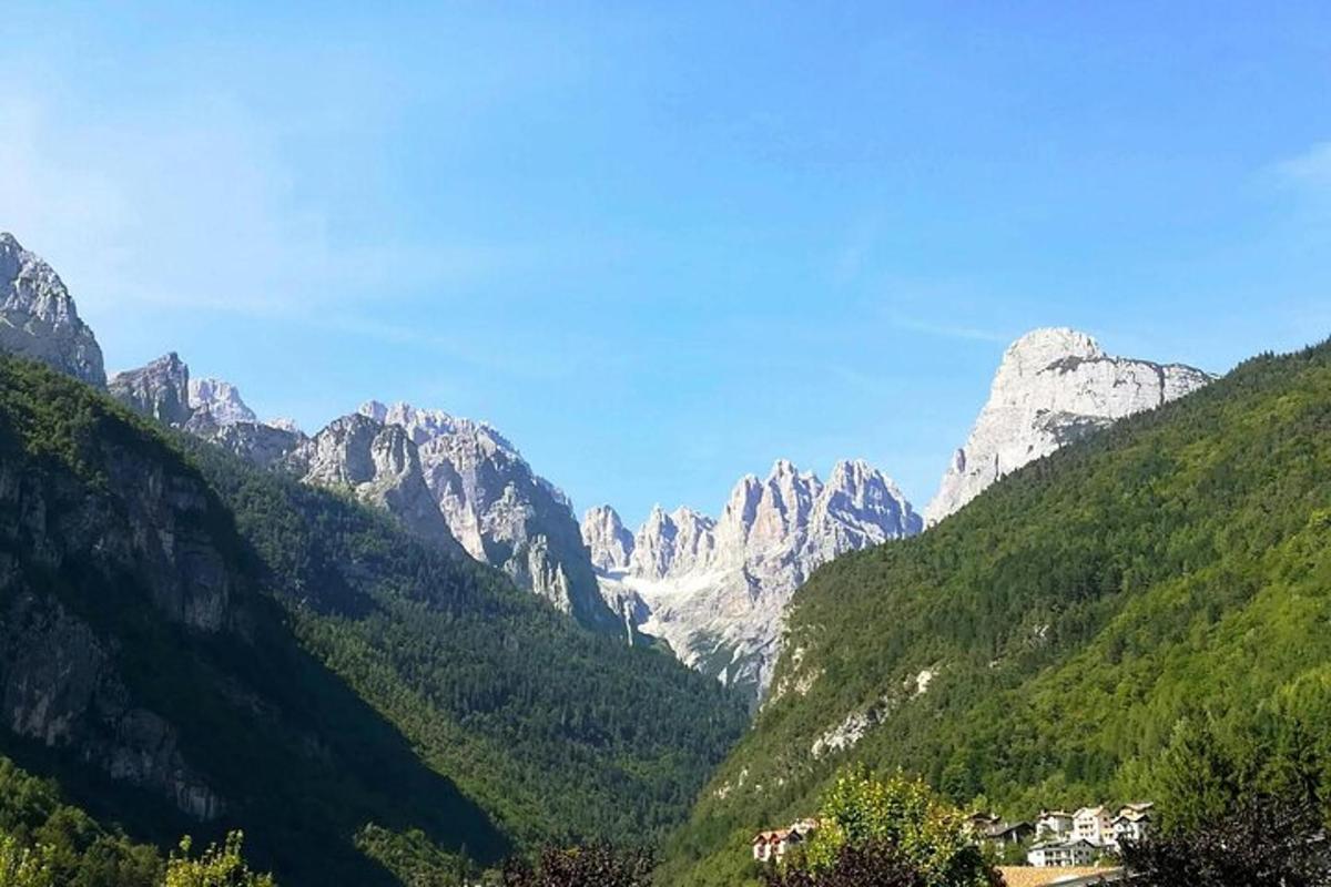 ağaçlar ve dağlarla dolu bir dağ sırasının görünümü