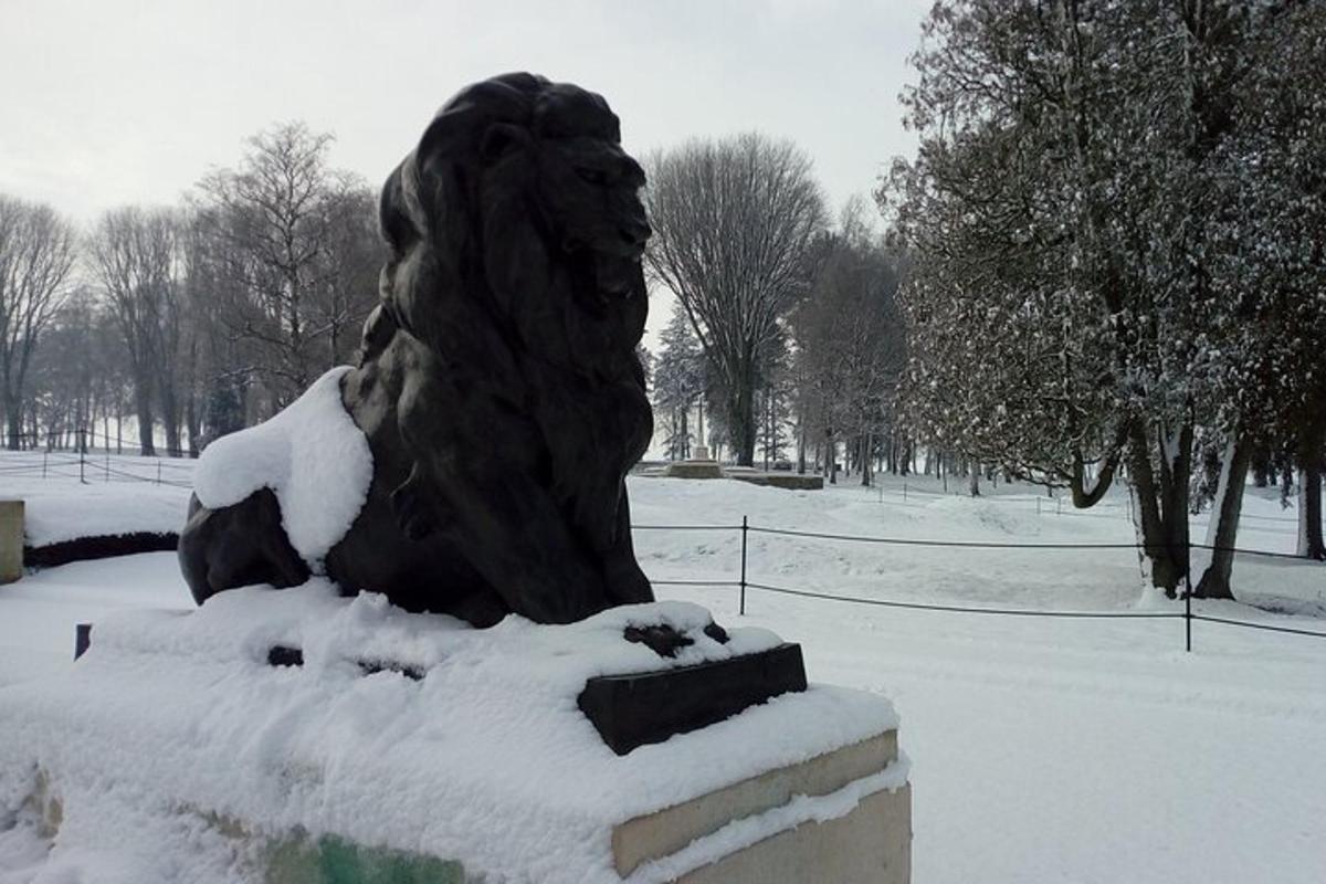 a statue of a lion is covered in snow