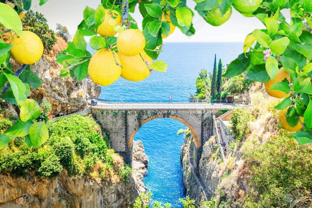 un ponte sopra un fiume con uno specchio d'acqua
