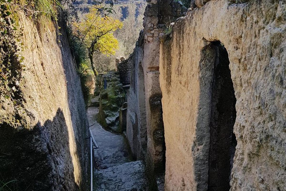 an alley in a mountain with rocks and trees