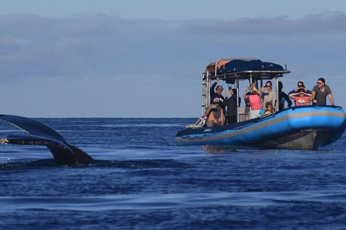 un grupo de personas en un barco en el agua