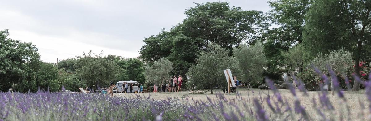 a field with purple flowers and trees and a field sidx sidx sidx sidx