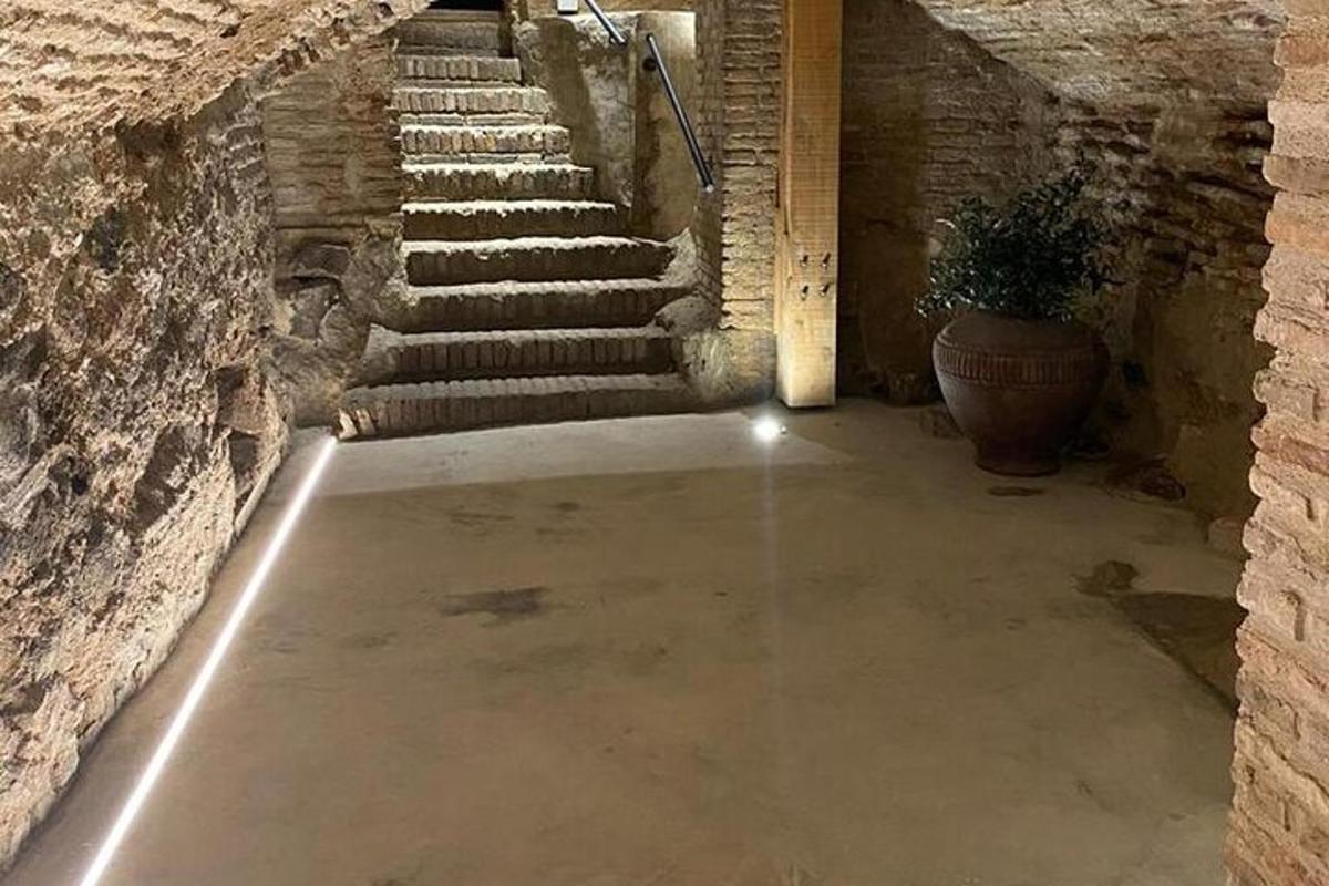 a hallway with stairs and a plant in a pot