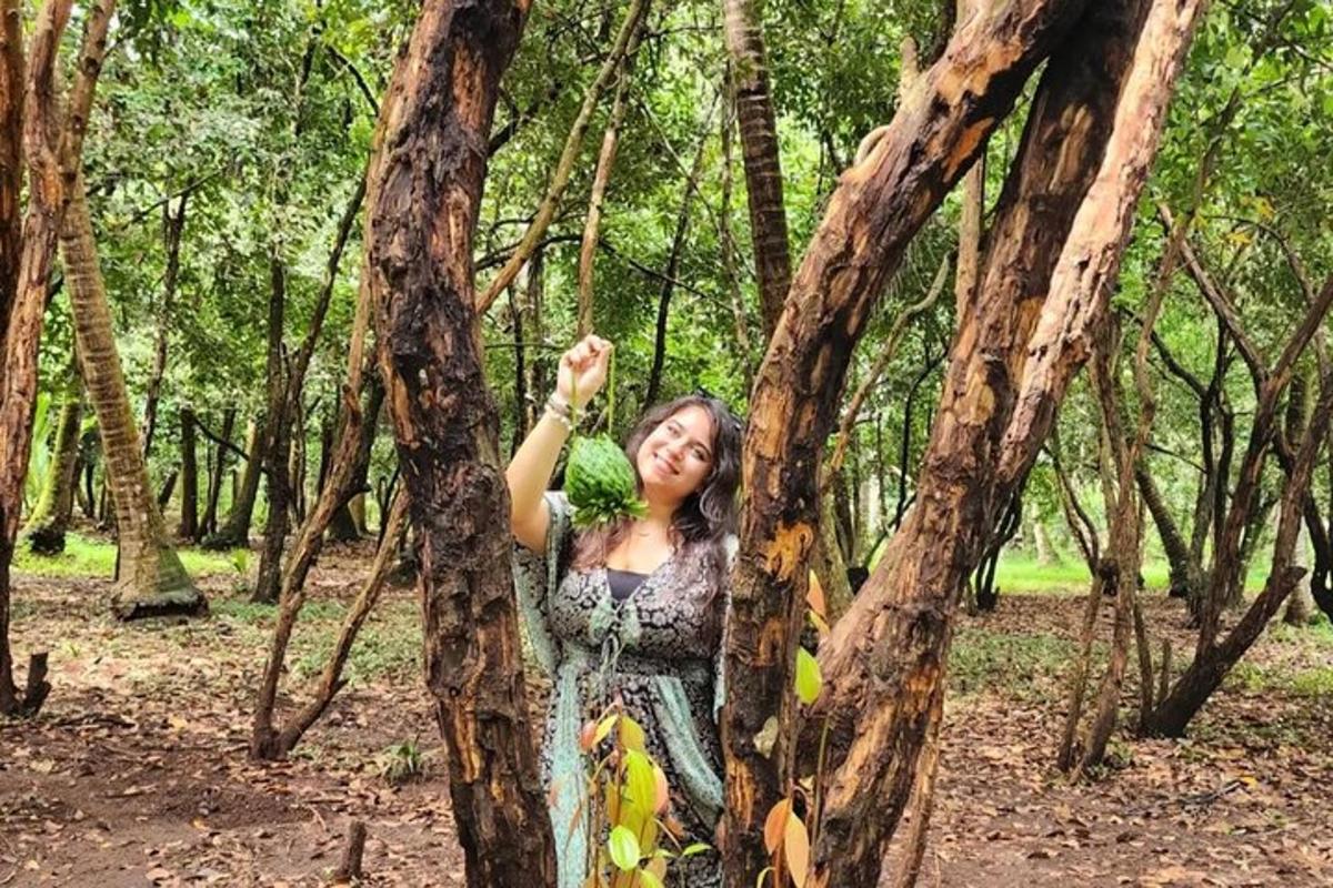 seorang wanita berdiri di antara dua pokok di dalam hutan