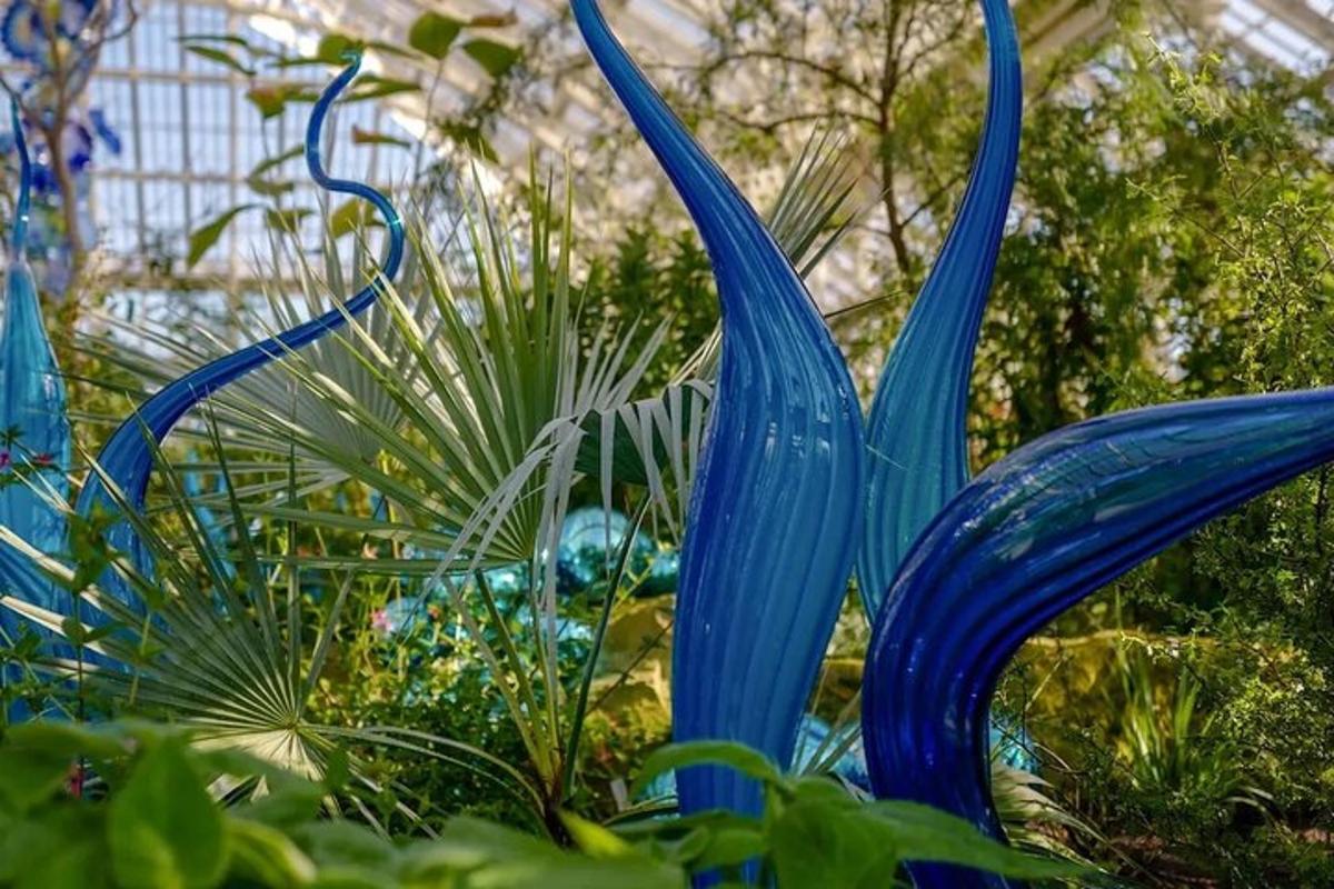 een blauw beeld van planten in een tuin