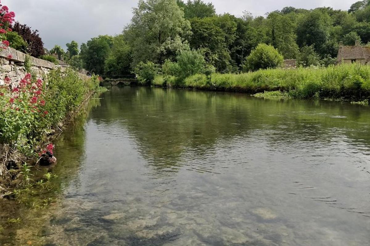 sungai dengan bebatuan di air dan tanaman