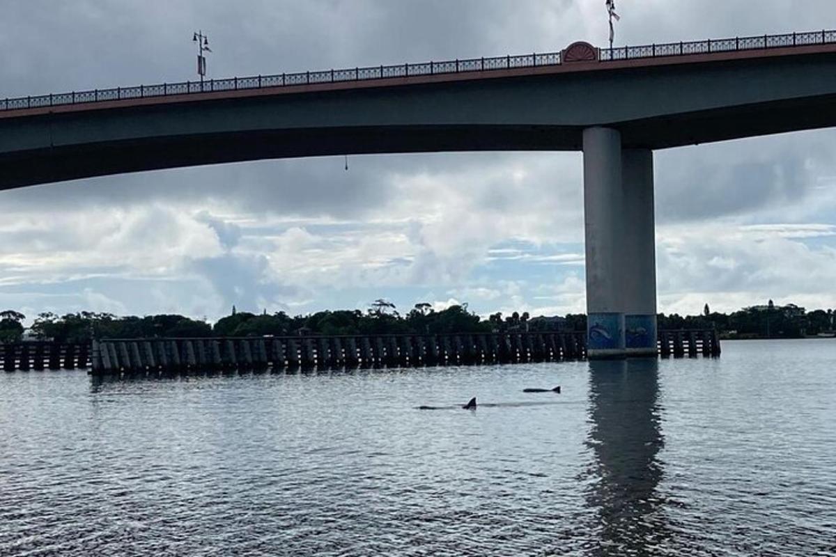 dva lidé plavou ve vodě pod mostem