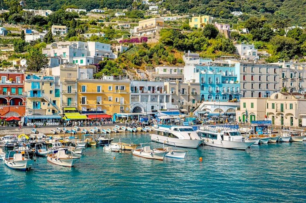 μια ομάδα σκαφών είναι αγκυροβολημένη σε ένα λιμάνι
