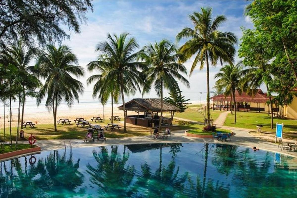 a swimming pool with palm trees and a beach