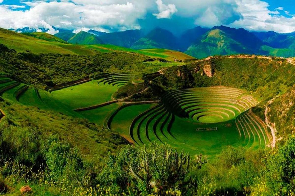 a group of terraced fields on a hill with mountains