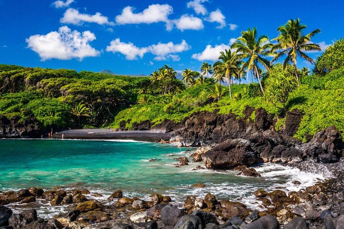 una spiaggia con palme, acqua azzurra e rocce