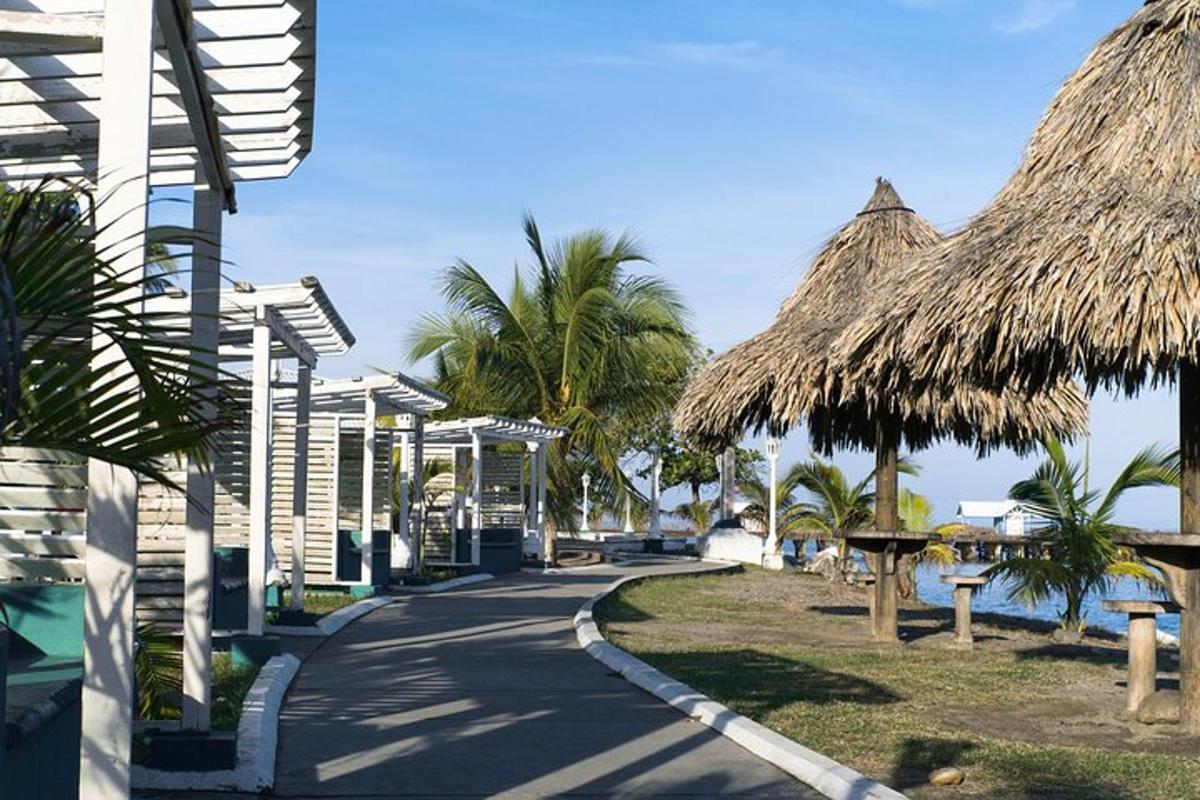 a path leading to a resort with palm trees