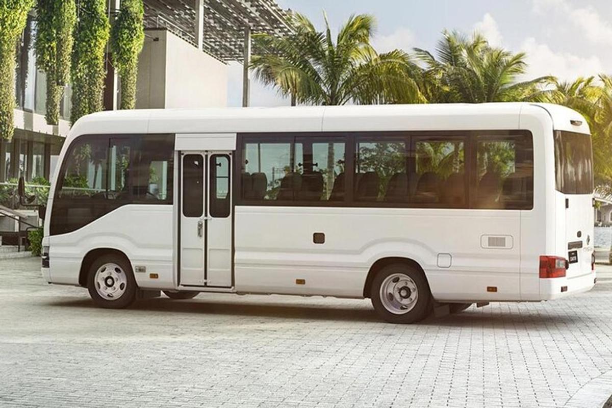 Un autobús blanco estacionado en un estacionamiento con palmeras.
