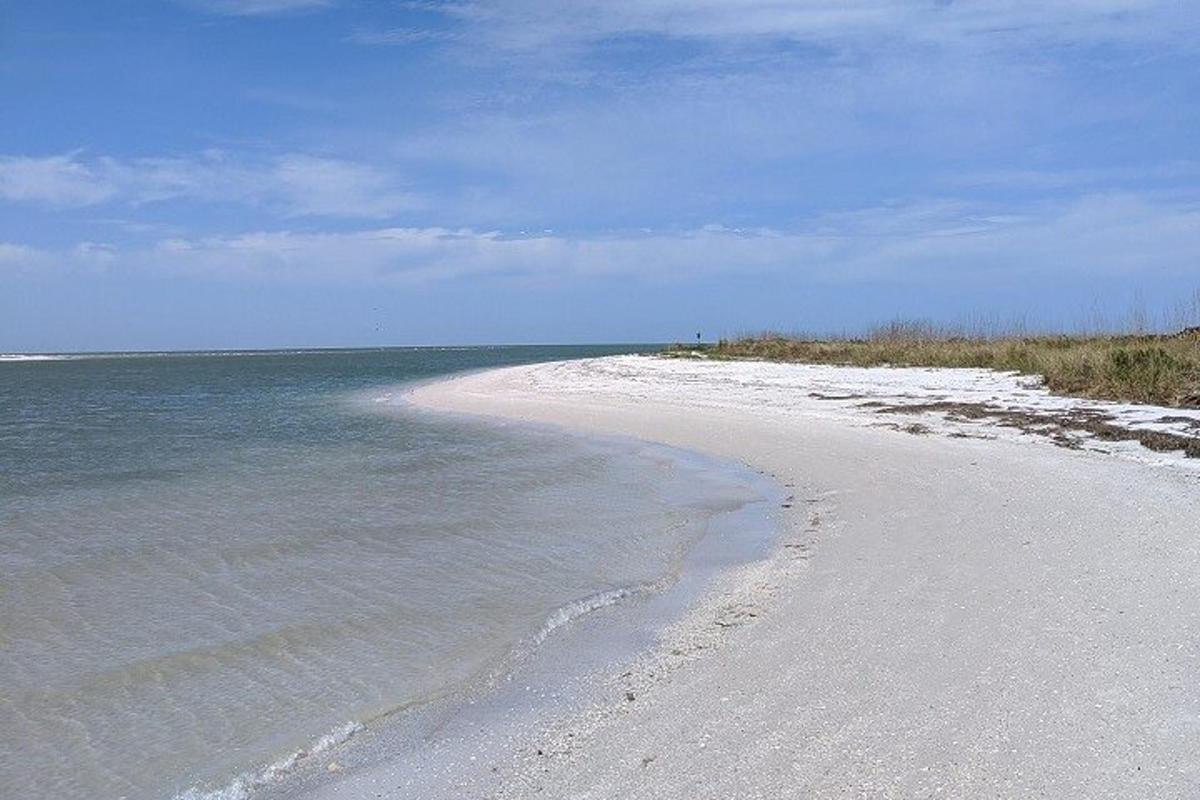 pantai berpasir dengan latar belakang lautan
