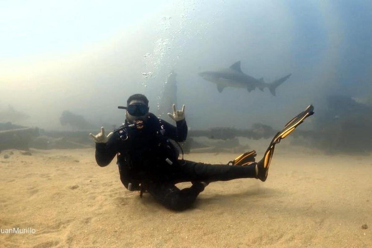 a diver in the water with a shark in the background