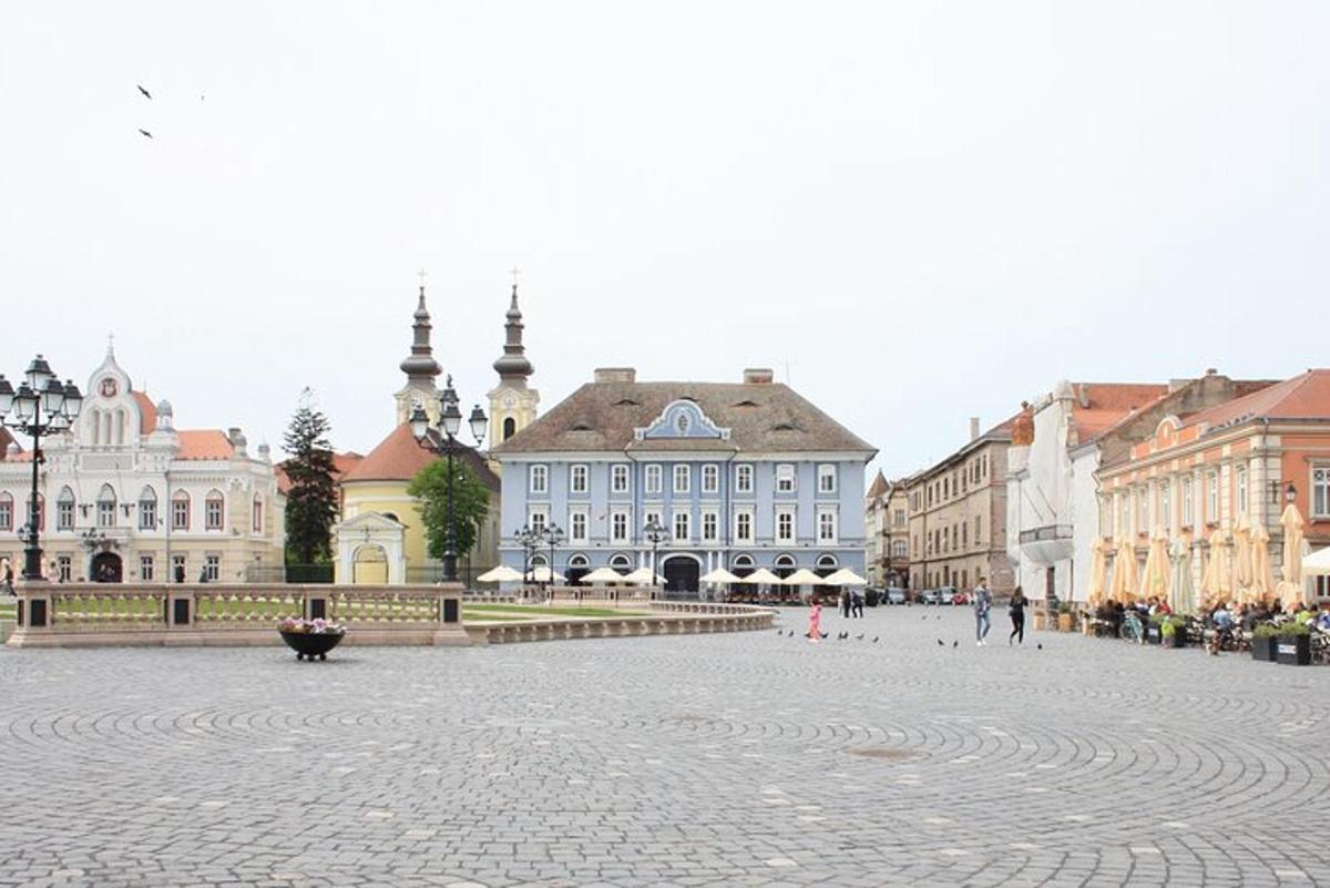 mestni trg z zgradbami in tlakovano ulico