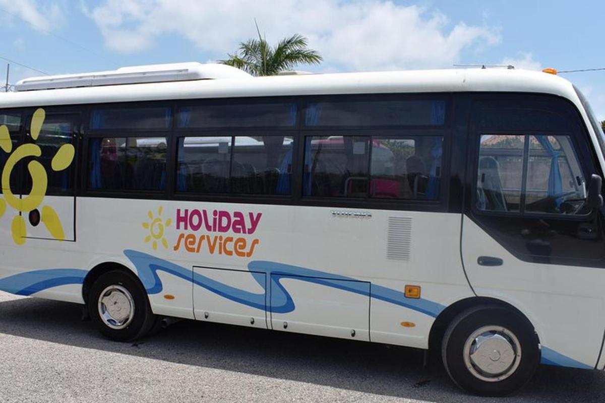 en vit buss med ett bi målat på sidan