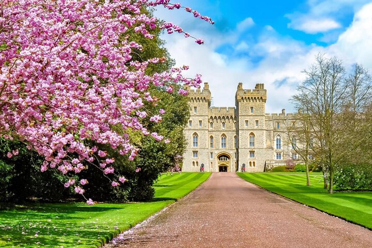 un castello con fiori rosa davanti