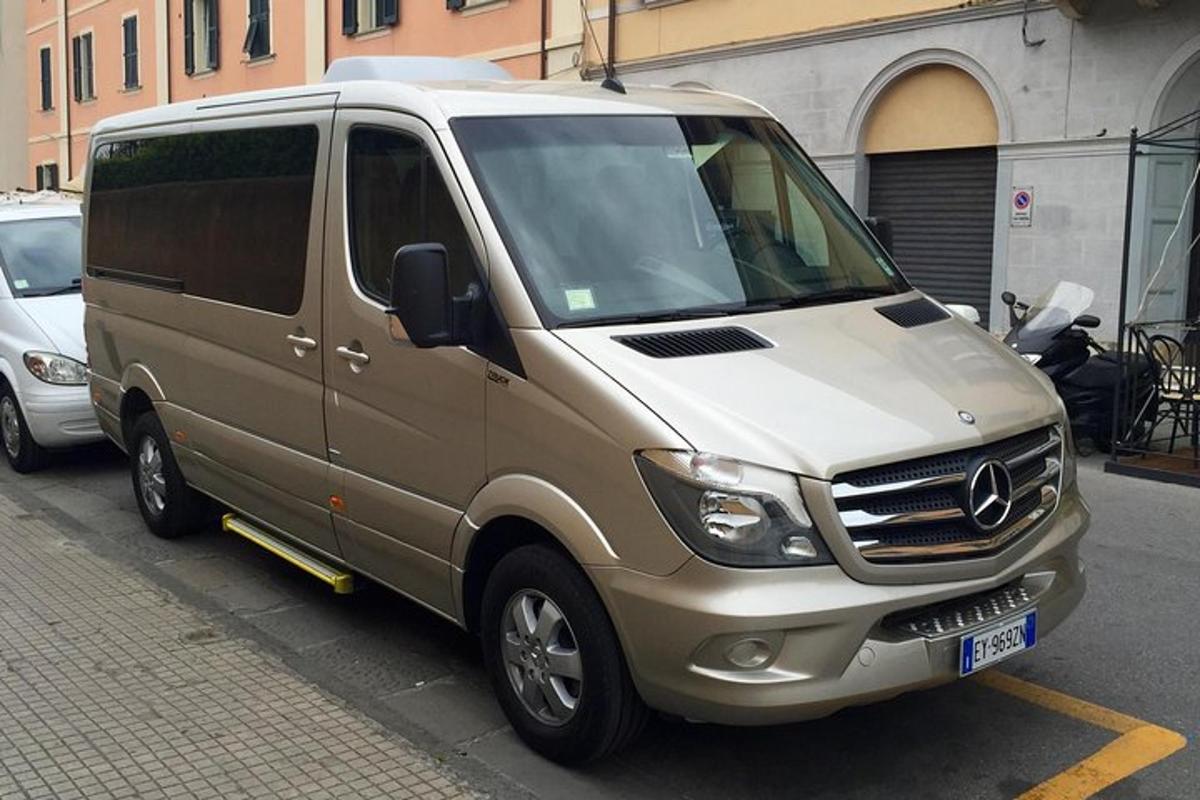 Acedes Van am Straßenrand geparkt