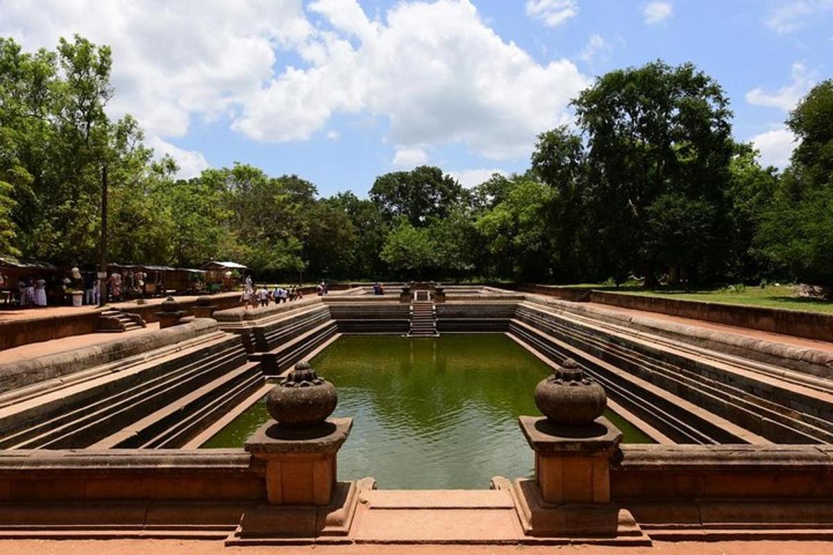 una fontana in un parco con una pozza d'acqua