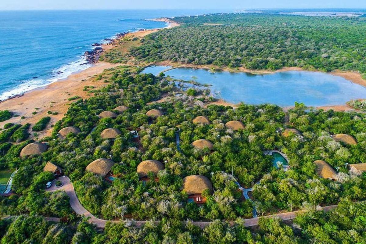 Zračni pogled na otok z drevesi in vodo