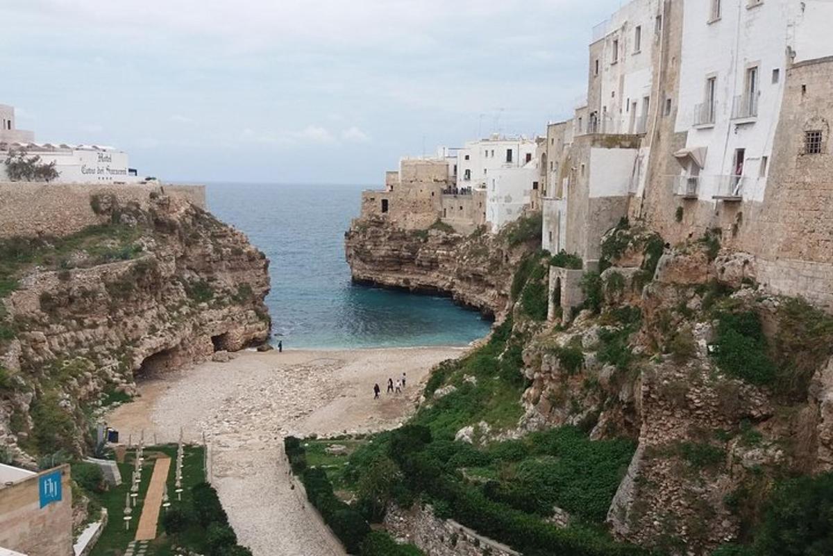 Μια ομάδα ανθρώπων που περπατάει σε μια παραλία δίπλα στον ωκεανό
