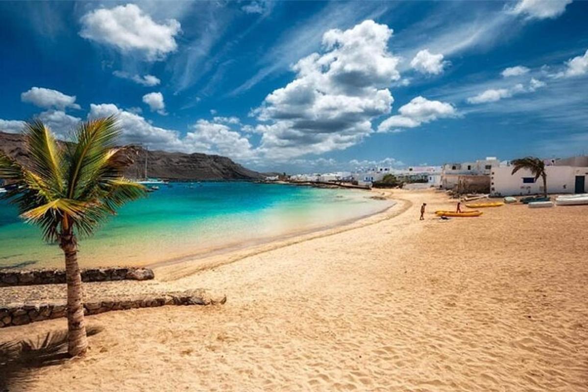 eine Palme an einem Sandstrand mit Blick auf das Meer