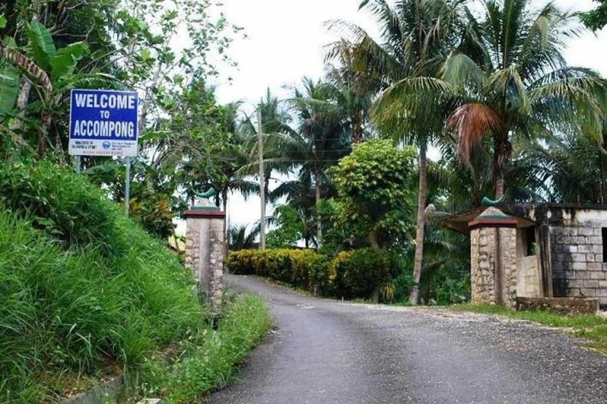 jalan dengan tanda selamat datang ke honolulu dan pokok palma