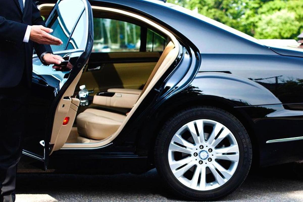 una persona abriendo la puerta de un coche