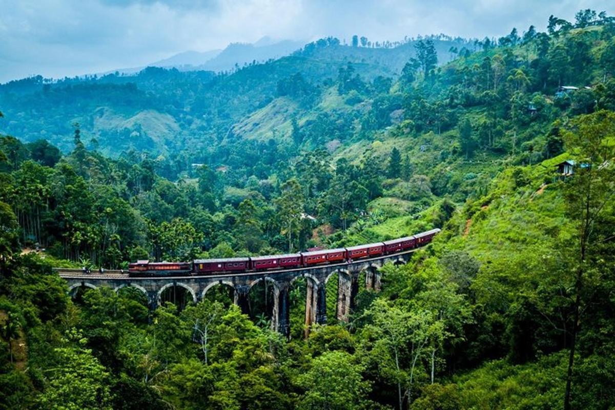 un tren en un puente en las montañas