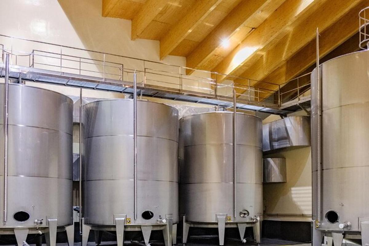 uma fileira de tanques de prata em uma cervejaria