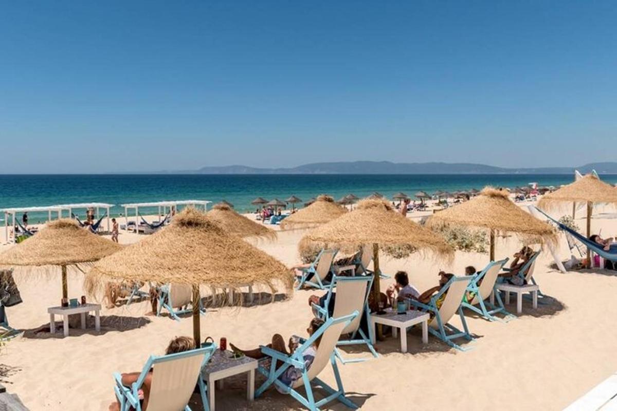 a beach with people sitting in chairs and umbrellas