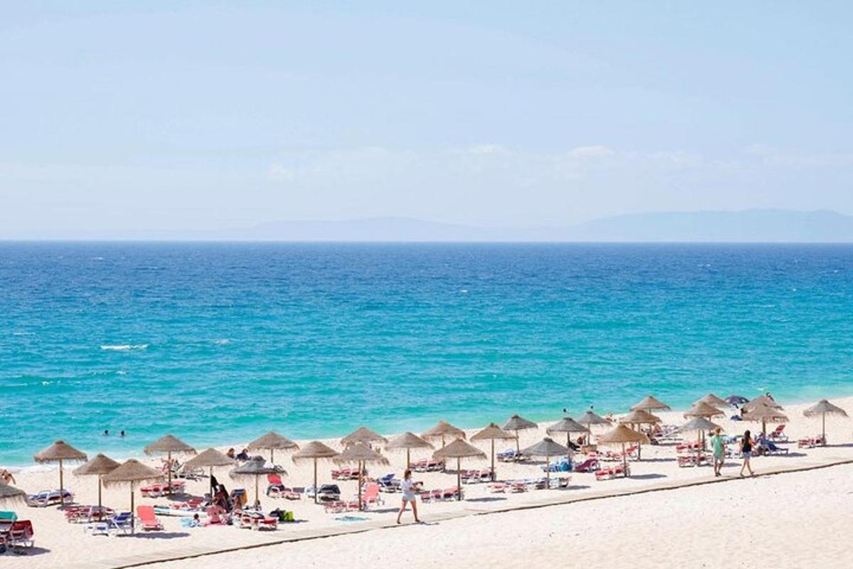 a beach with many chairs and umbrellas and the ocean